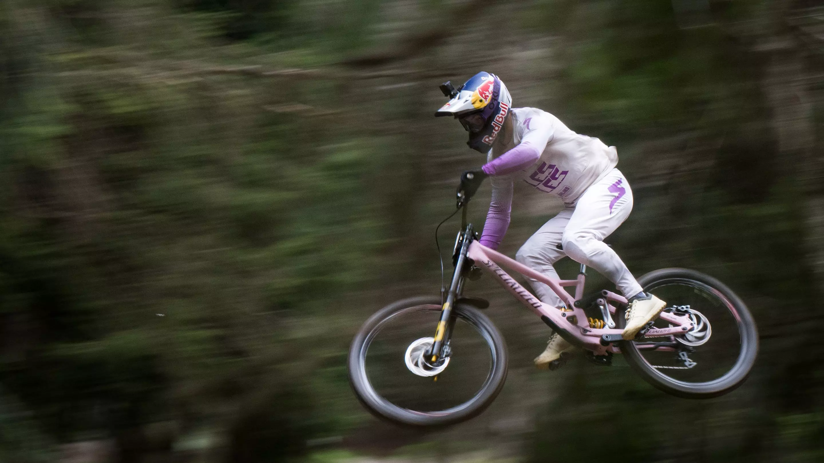 SPECIALIZED CANNIBAL GRID GRAVITY 2BLISS READY T9 29