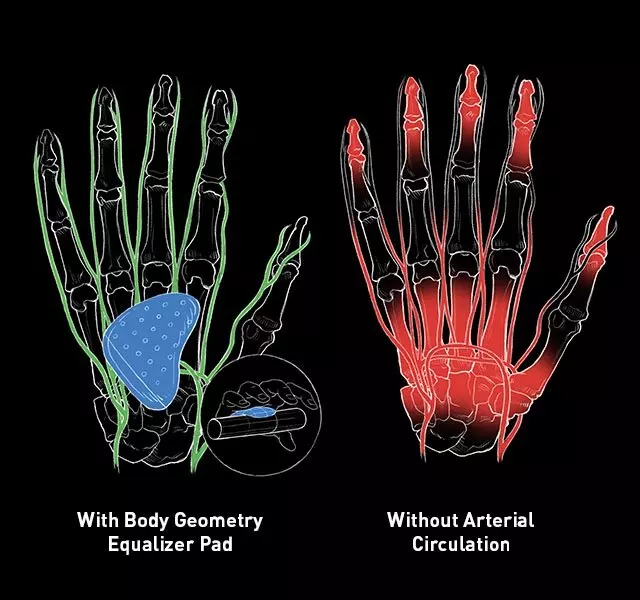 Arterial Circulation