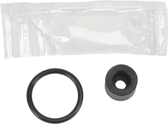 2010 Frame Pump Rebuild Kit