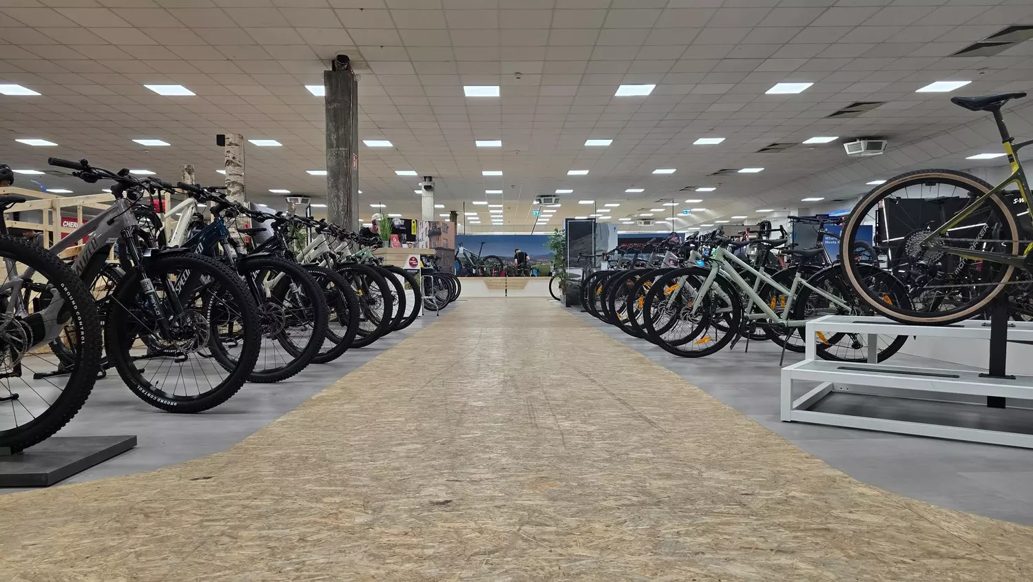 giant bicycles international Giant Bike Reviews