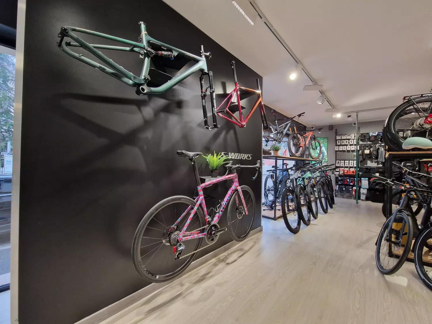 Store Image