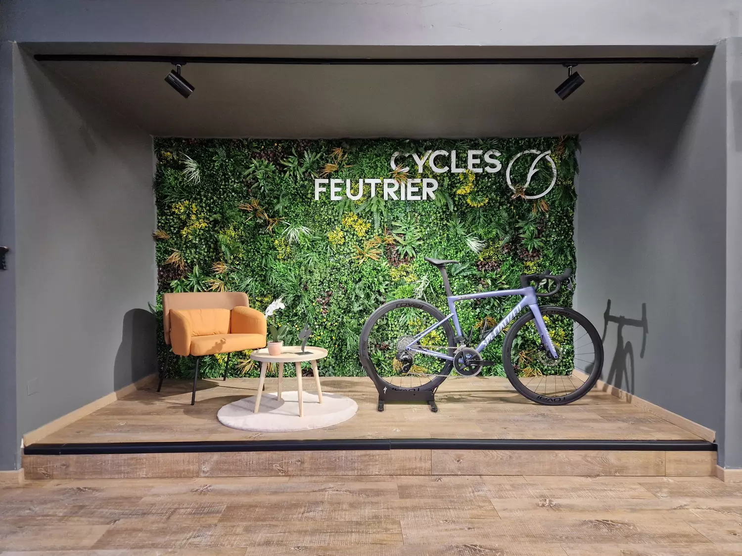Store Image
