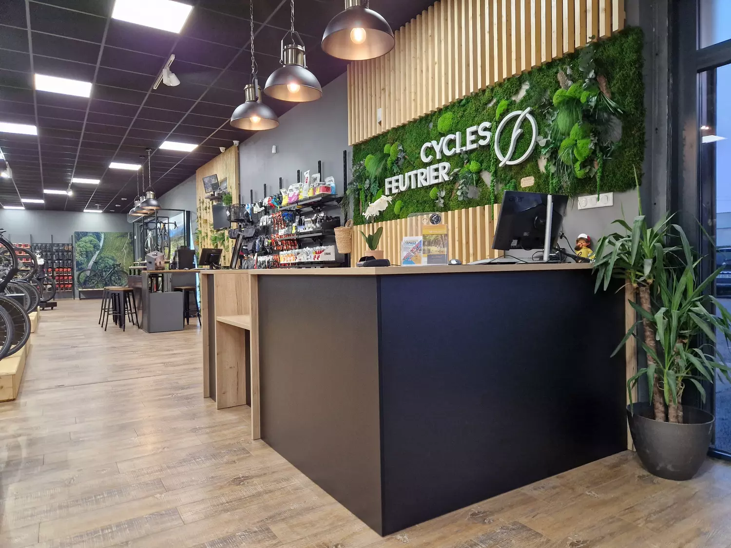 Store Image