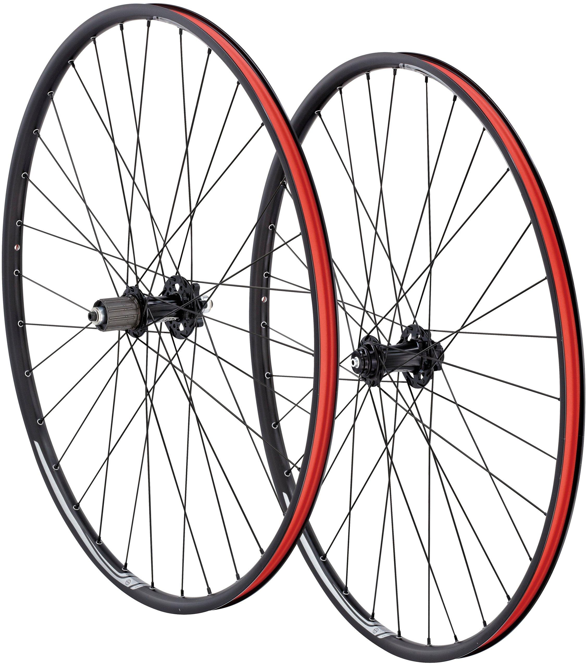 Stout on sale 29 rims