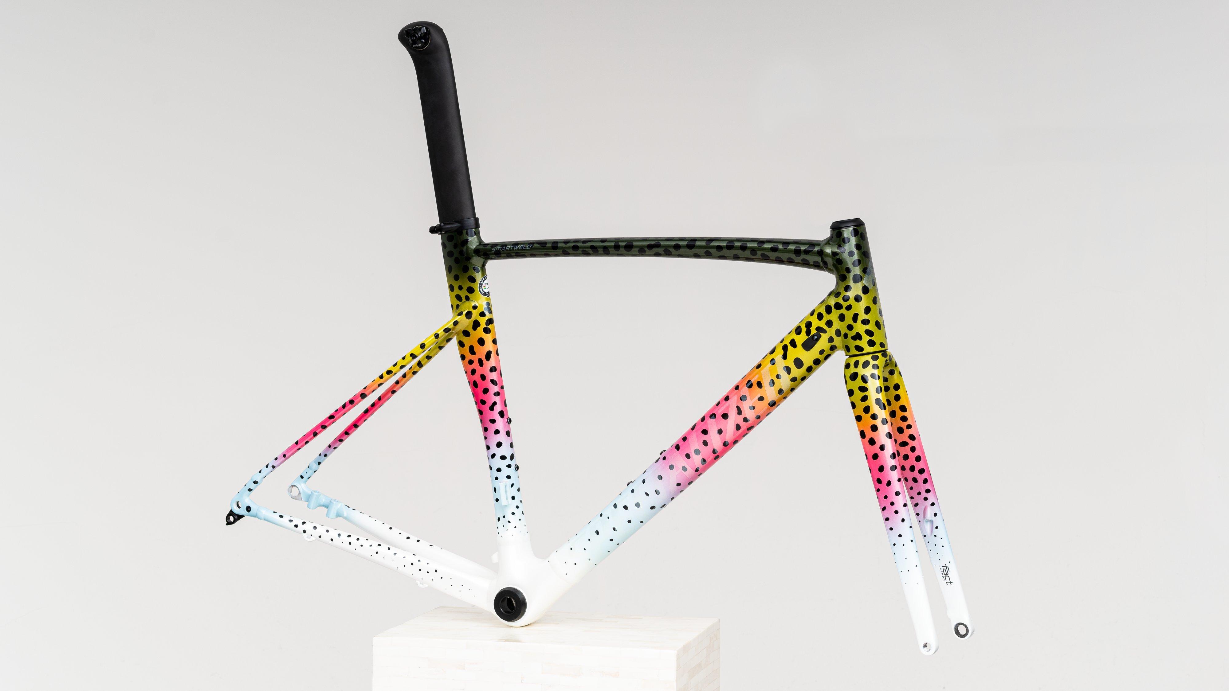 specialized allez disc frameset