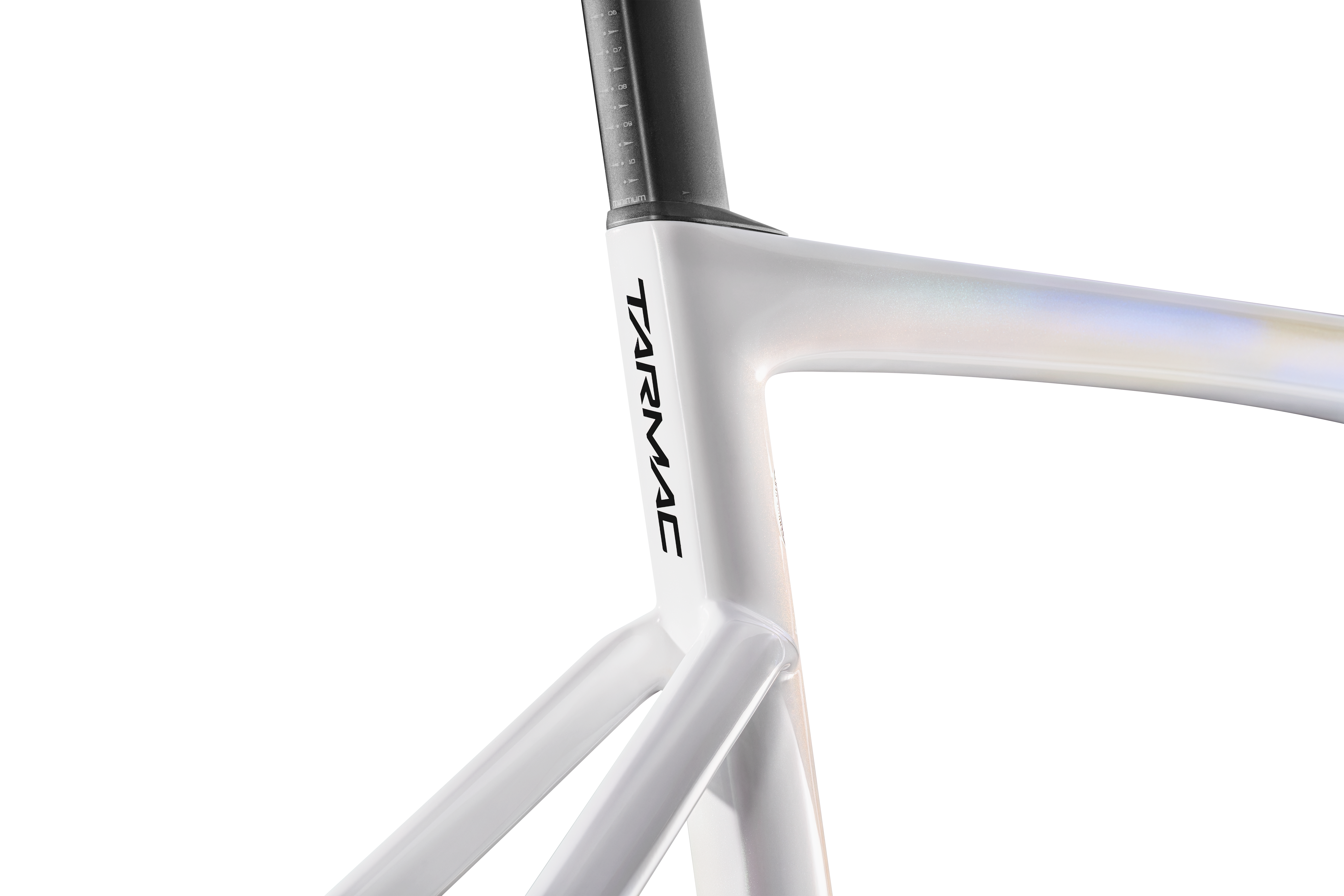 Remco's Reign Celebration Tarmac Frameset