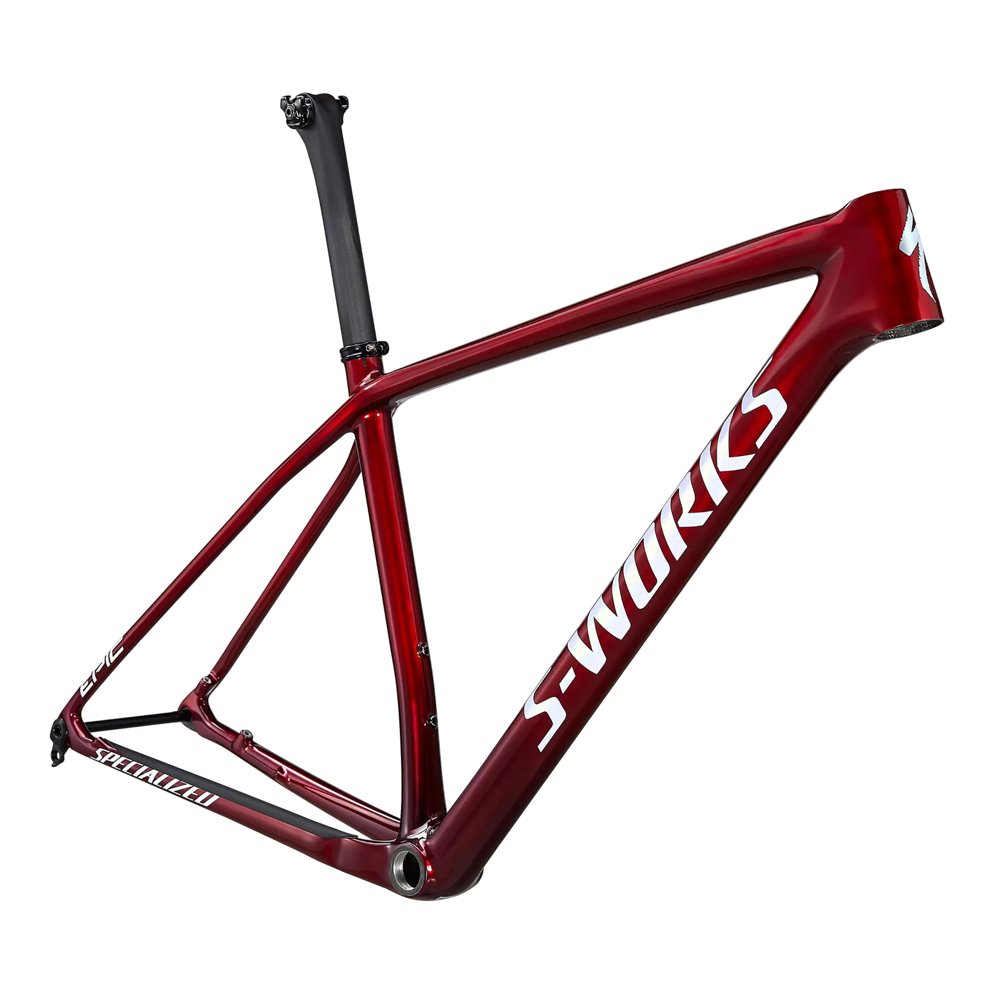 Quadro S-Works Epic Hardtail