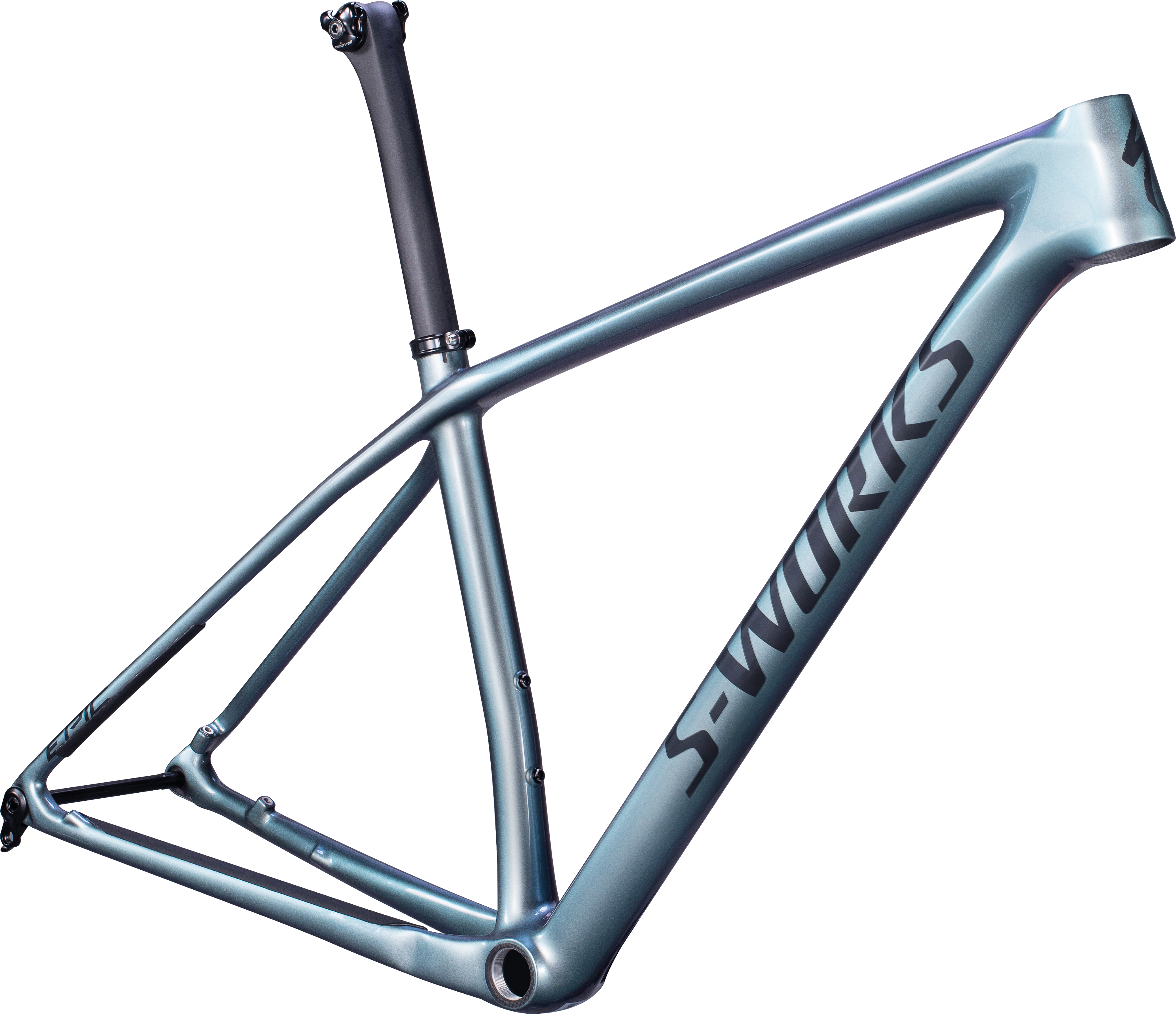 S-WORKS EPIC HARDTAIL FRAMESET CMLNFLD/BLK S(S グロスカメレオン