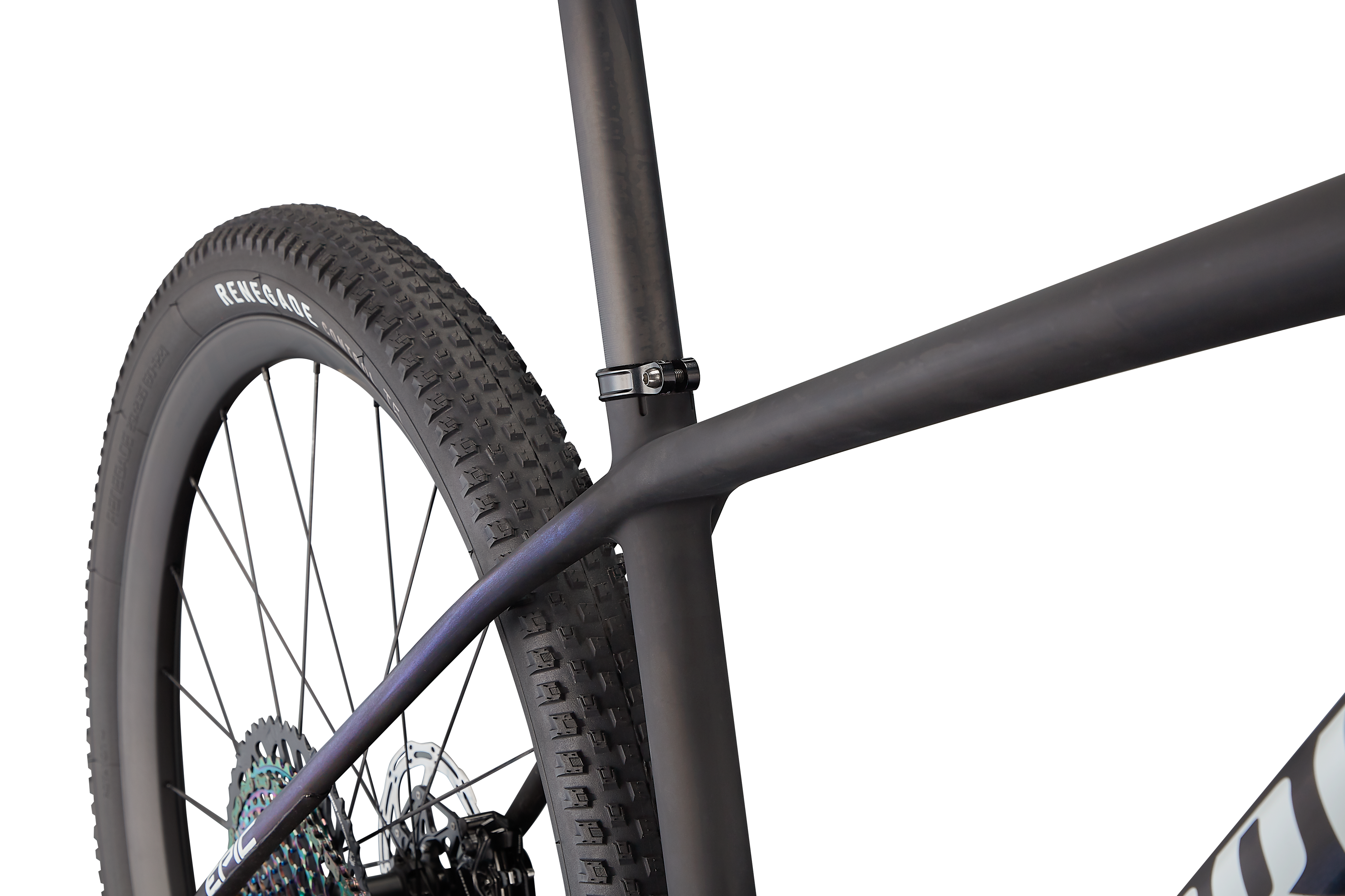 エビテン様 willinckii Limited Edition他 ご予約受付（入荷予定