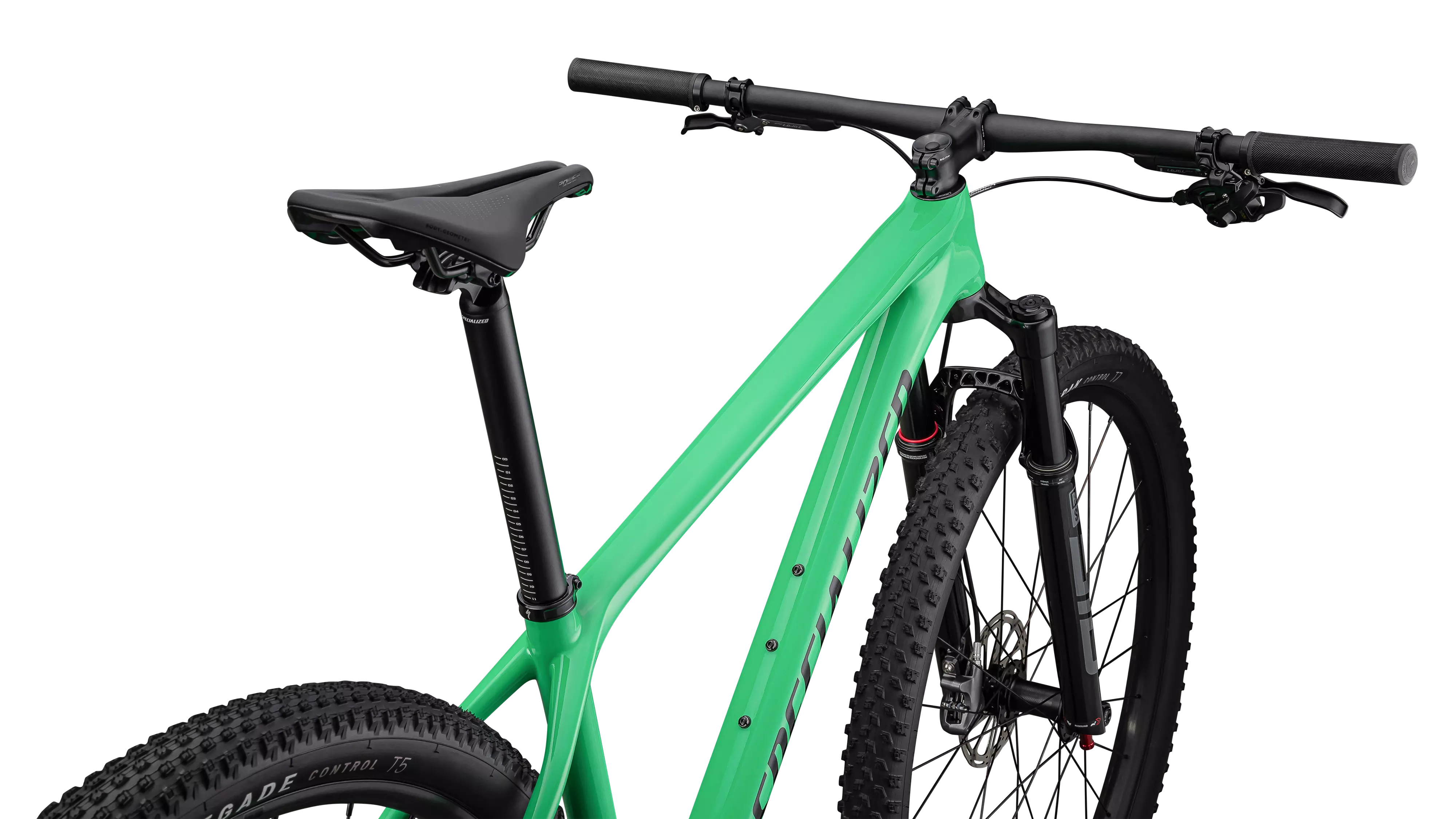 Specialized aggressive hardtail online