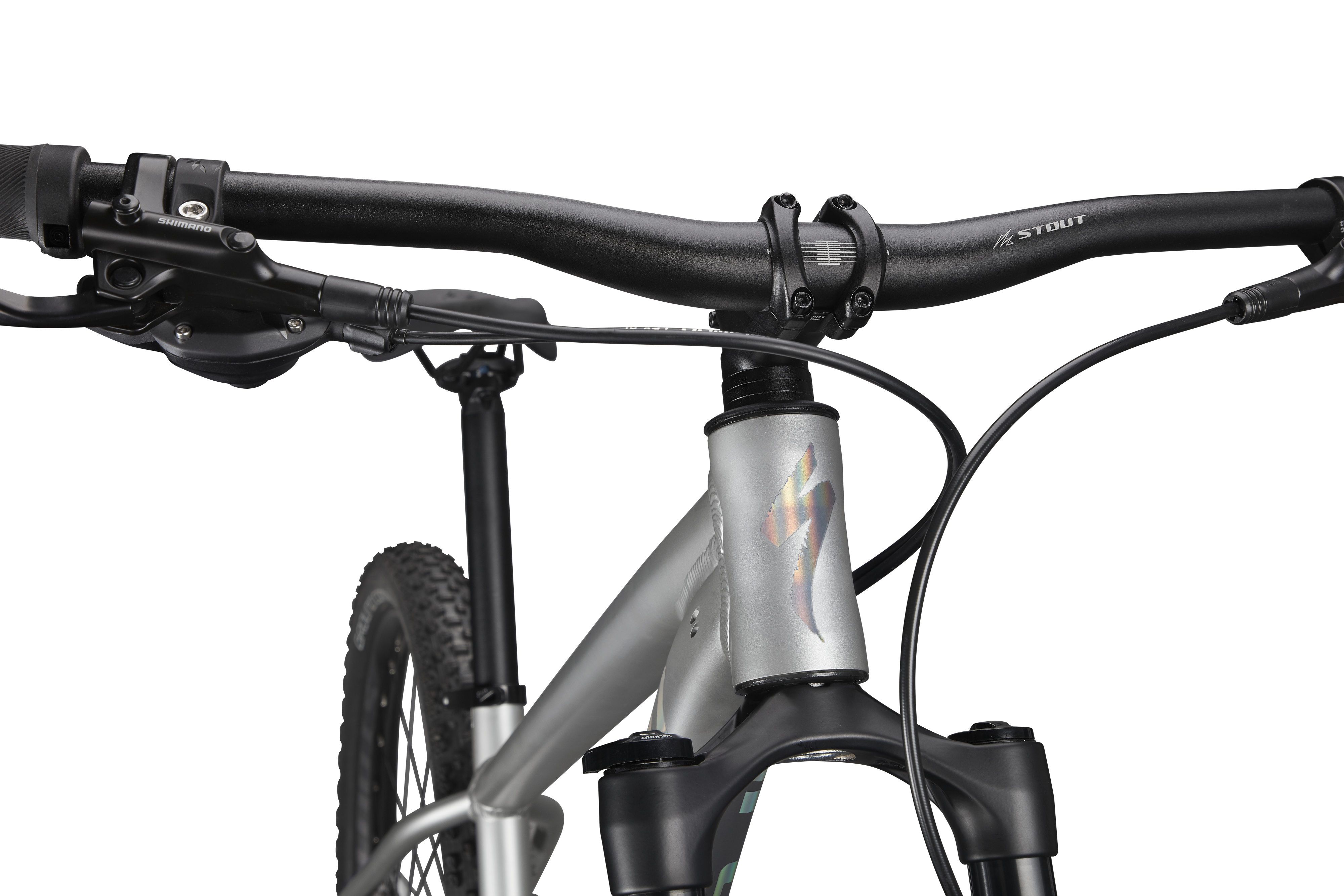 Specialized men's best sale rockhopper expert 2019