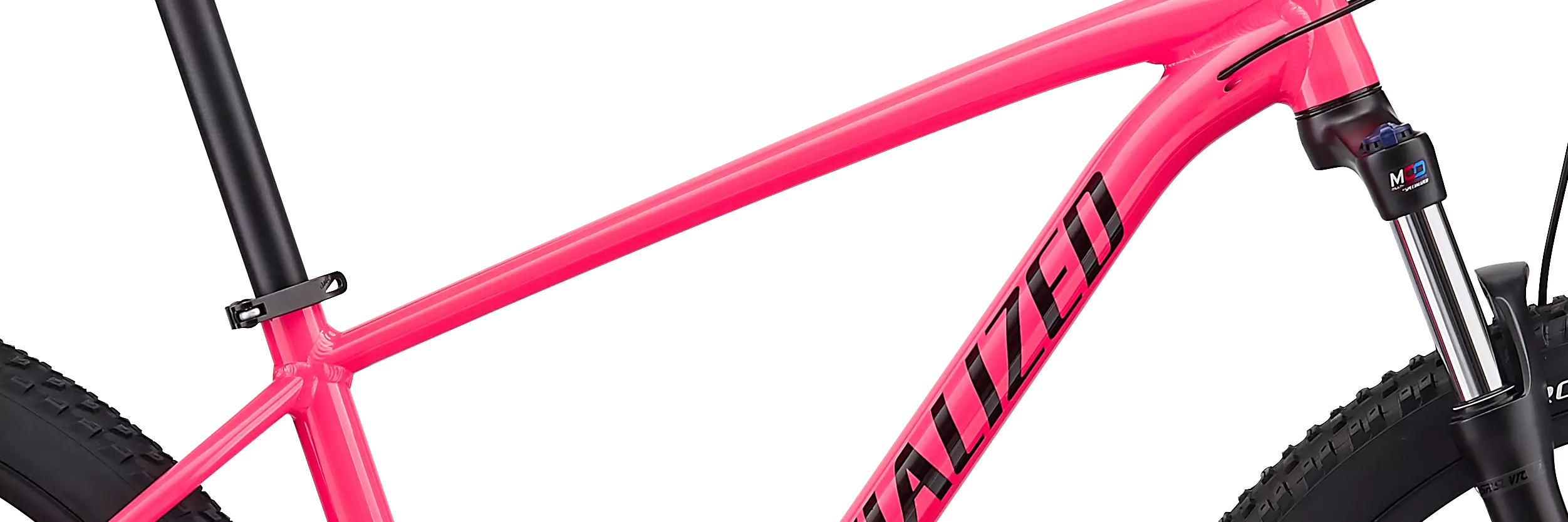 Specialized women's rockhopper 2019 online