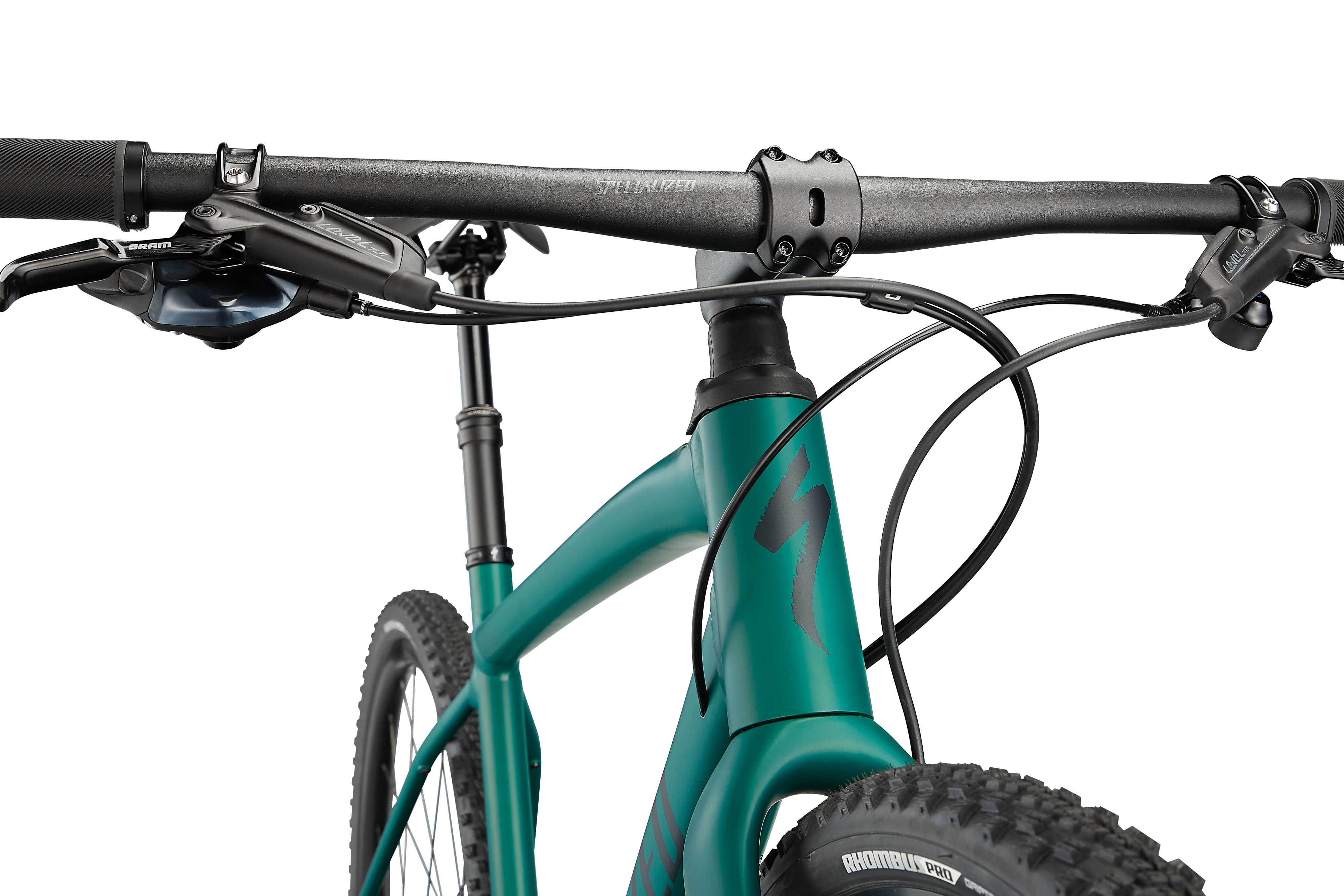 Diverge E5 Expert Evo Gravel Bike Specialized 2022 Satin Pine/Forest/Chrome/Clean IBKSport