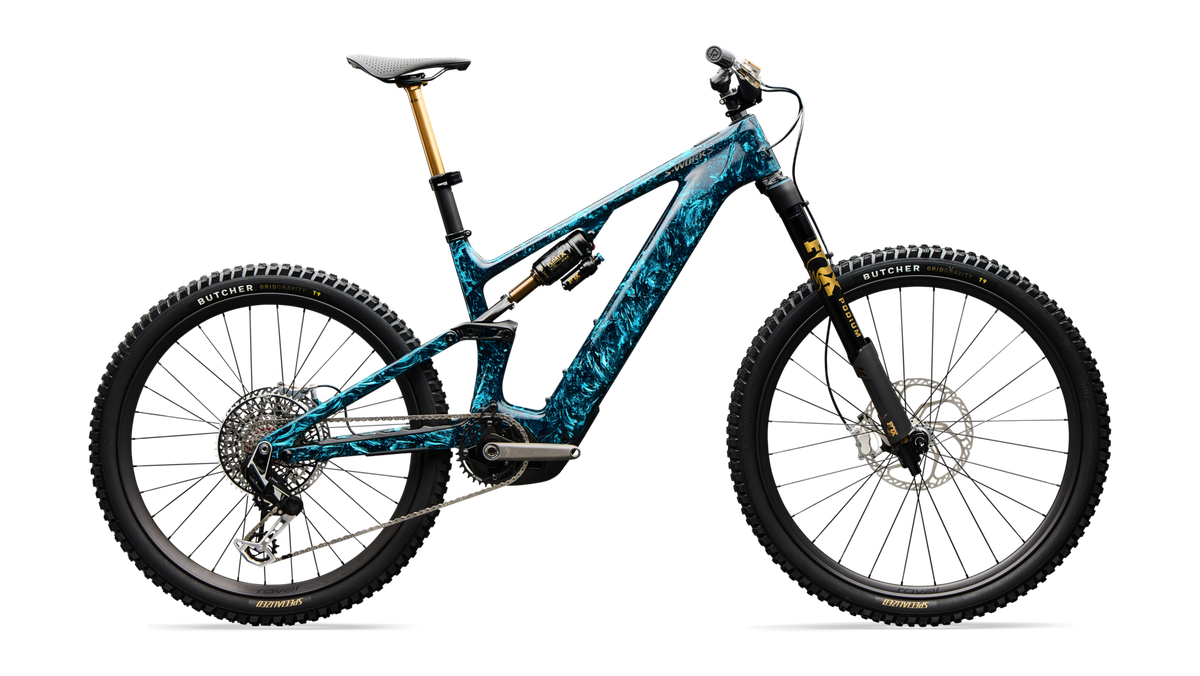 S-Works Turbo Levo 4 LTD