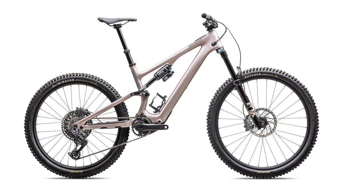 Turbo Levo SL 2 Expert