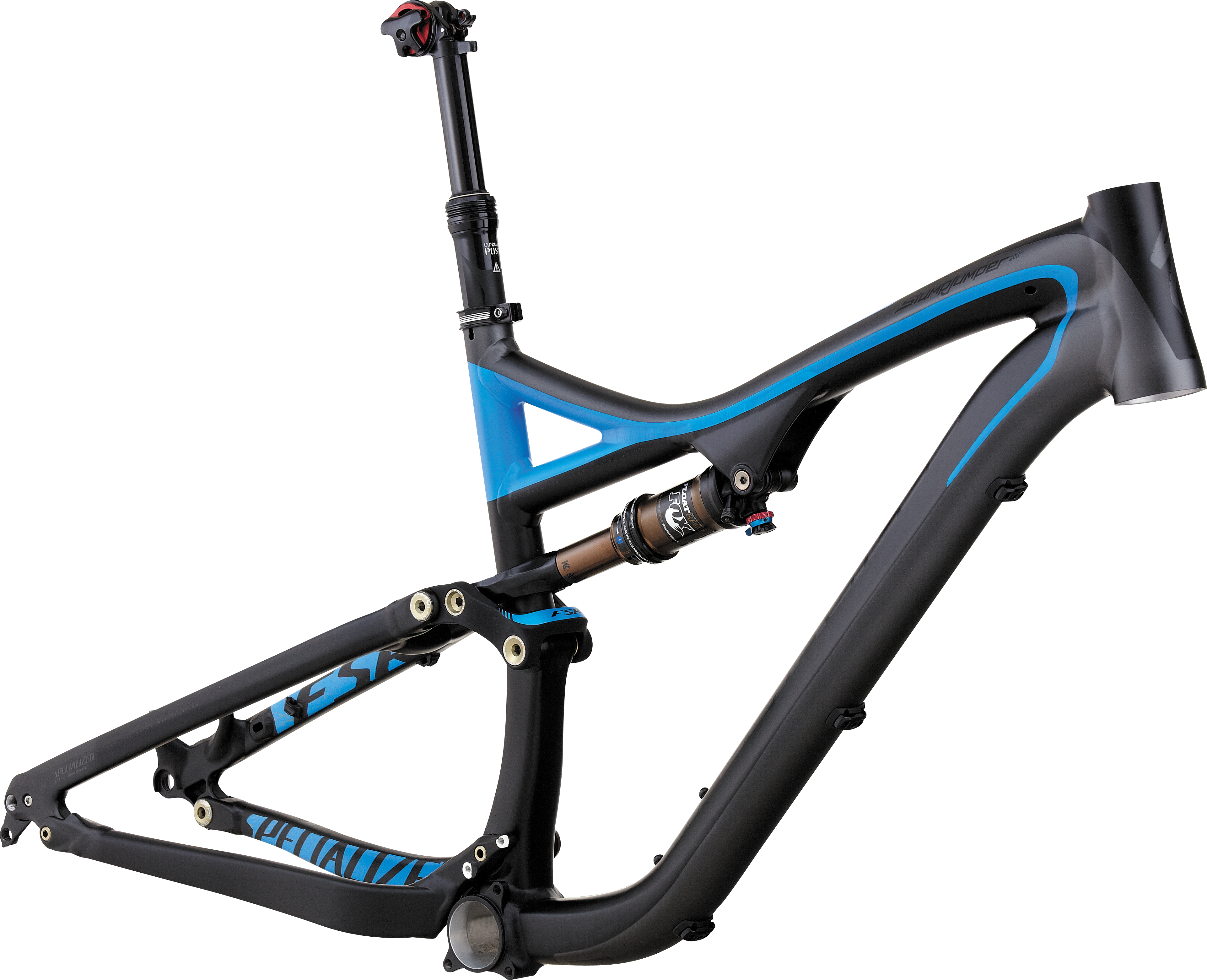 Specialized store fsr frame