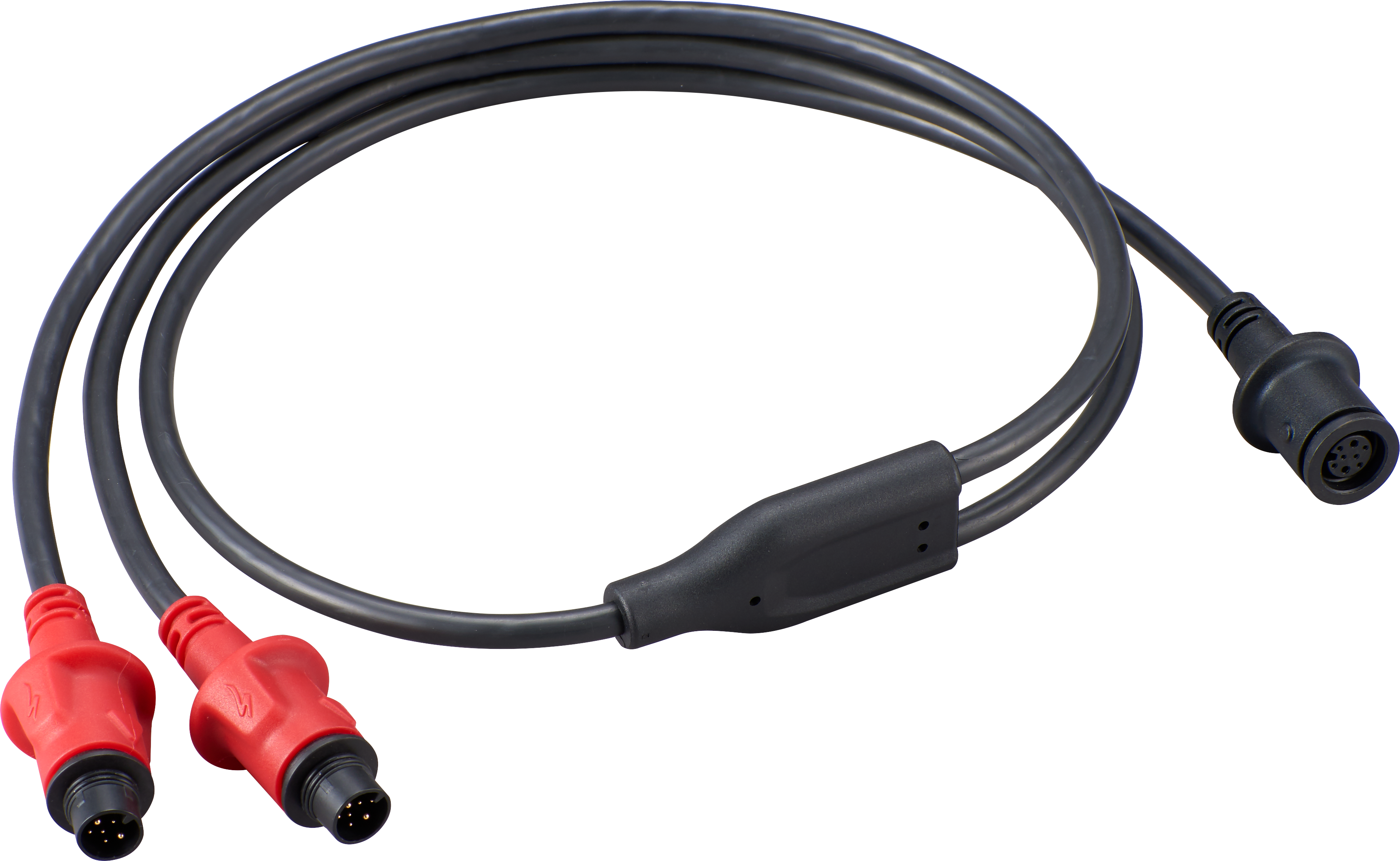 Beez2B DISC.. cable de charge batterie Lipo voiture (saddle pack
