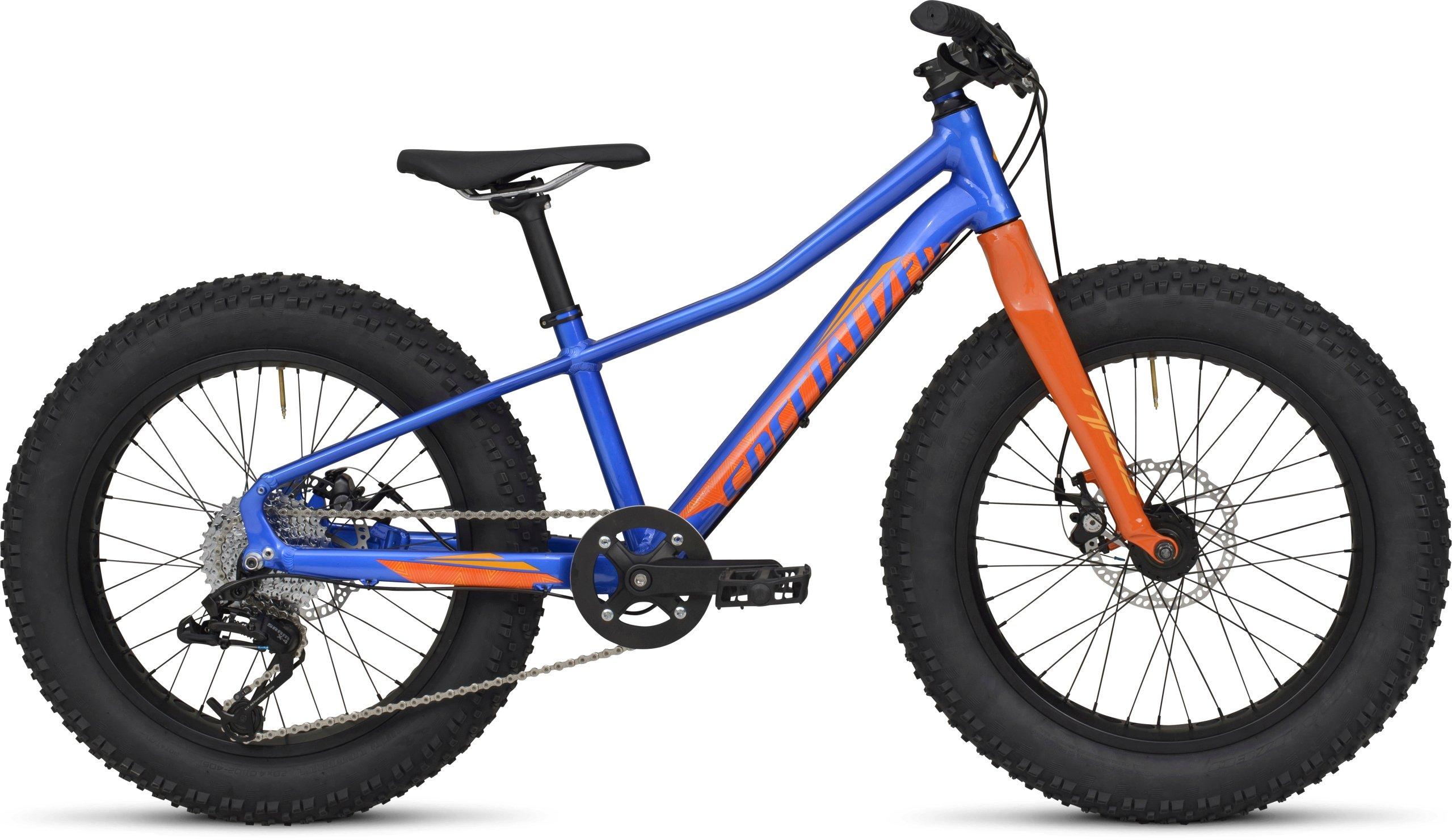 Specialized fatboy 20 for on sale sale