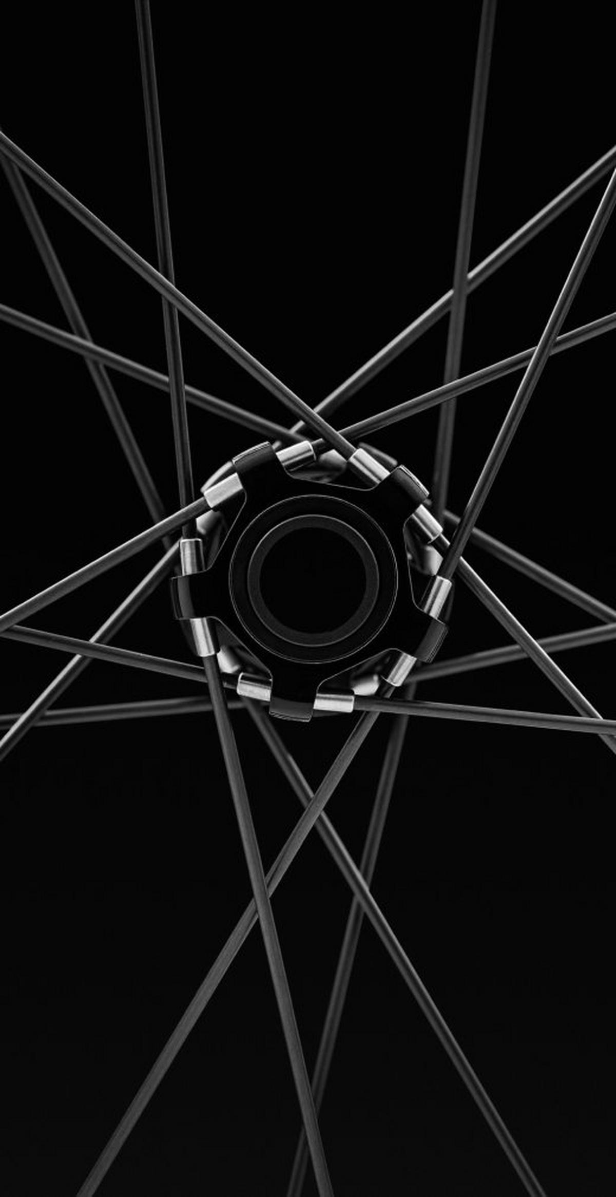 Carbon Spokes