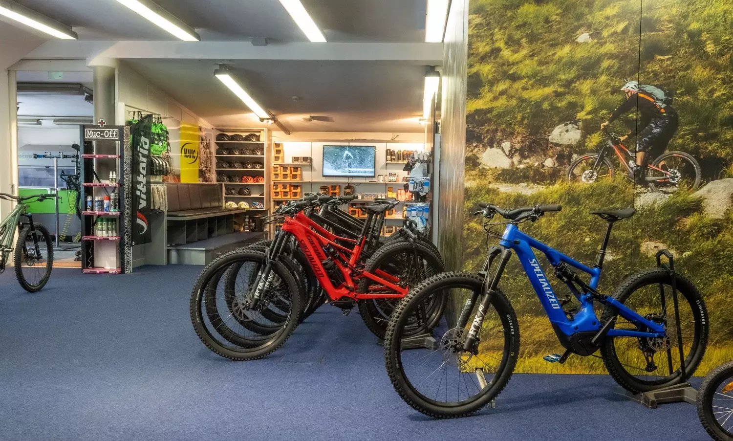Store Image