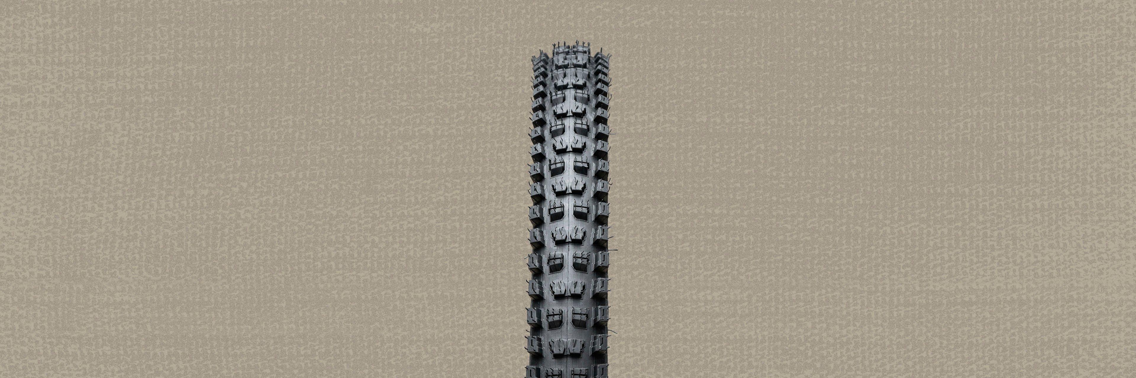 Picture 4 of 5