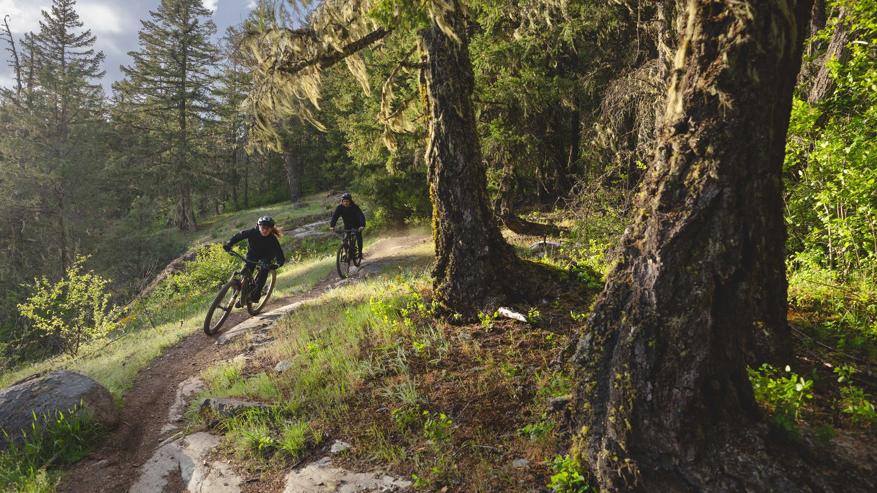 Stumpjumper 15 Comp Alloy banner 3