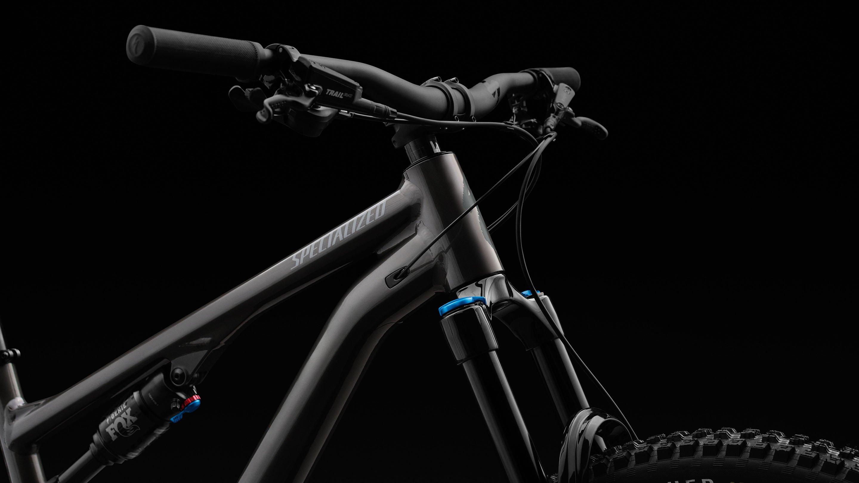 Stumpjumper 15 Comp Alloy banner 4