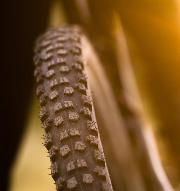 Purgatory best sale mtb tyres