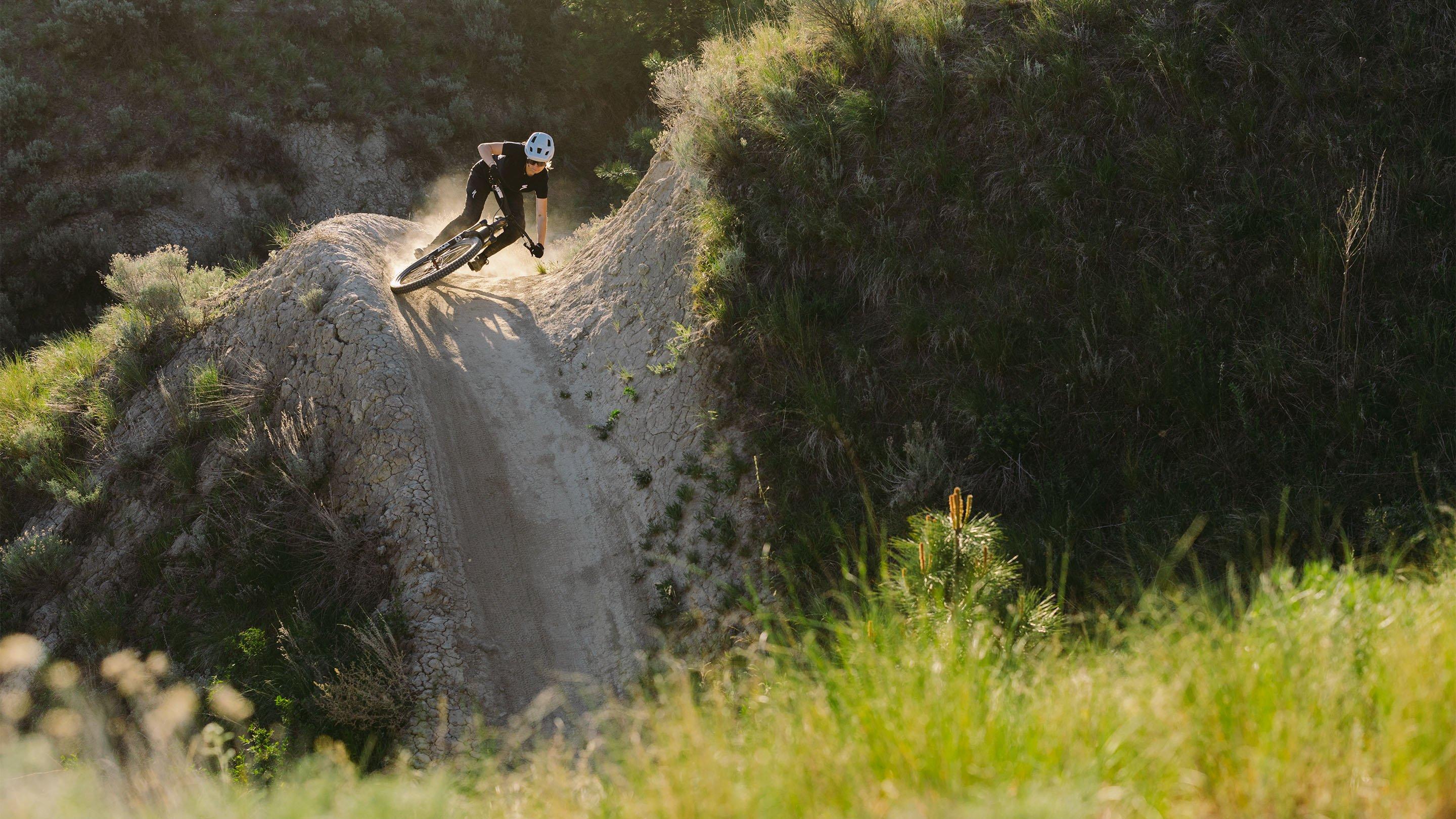 Stumpjumper 15 Expert banner 4