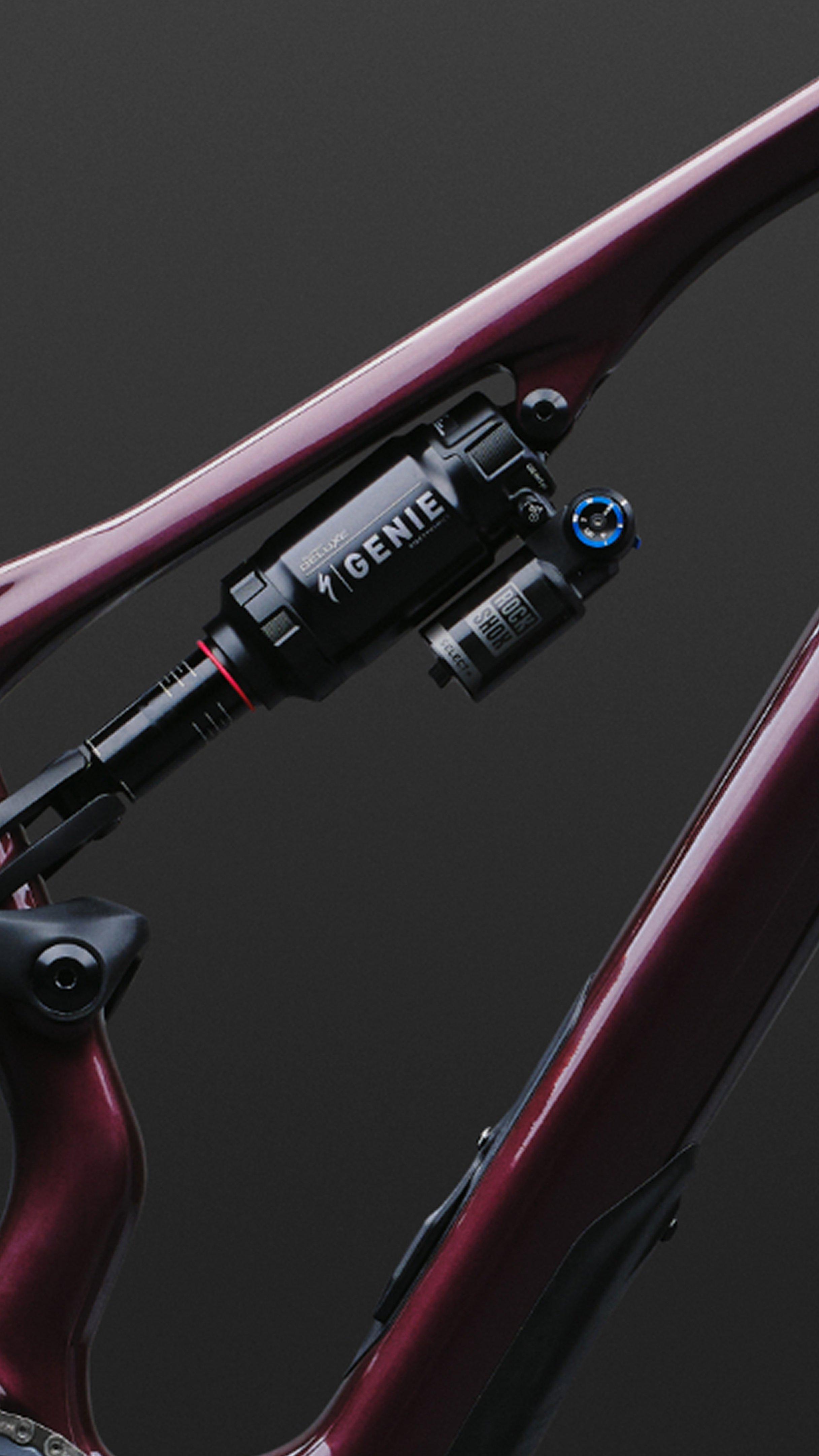 Rides Like a Bigger-Travel Bike