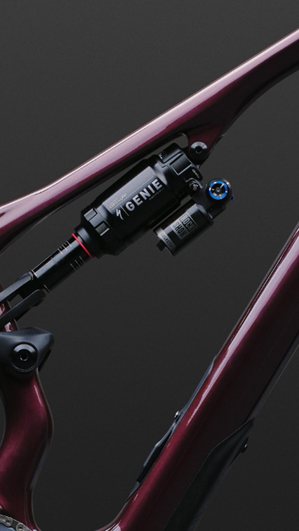 Rides Like a Bigger-Travel Bike