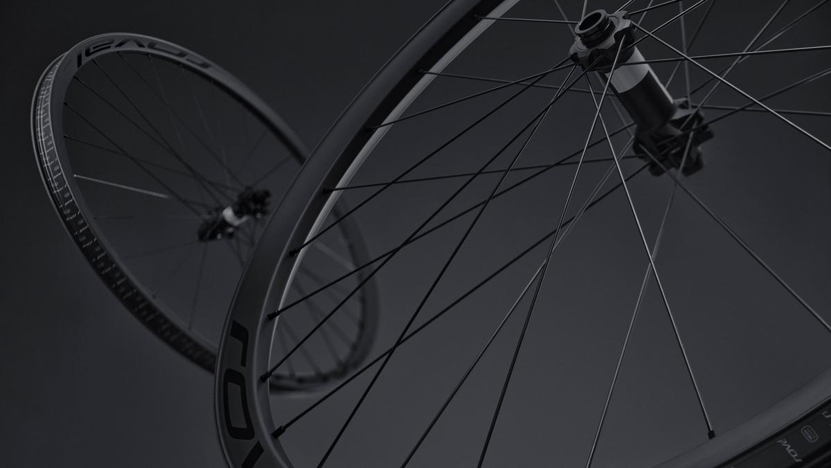 All You Need to Know About the Control SL VI 350