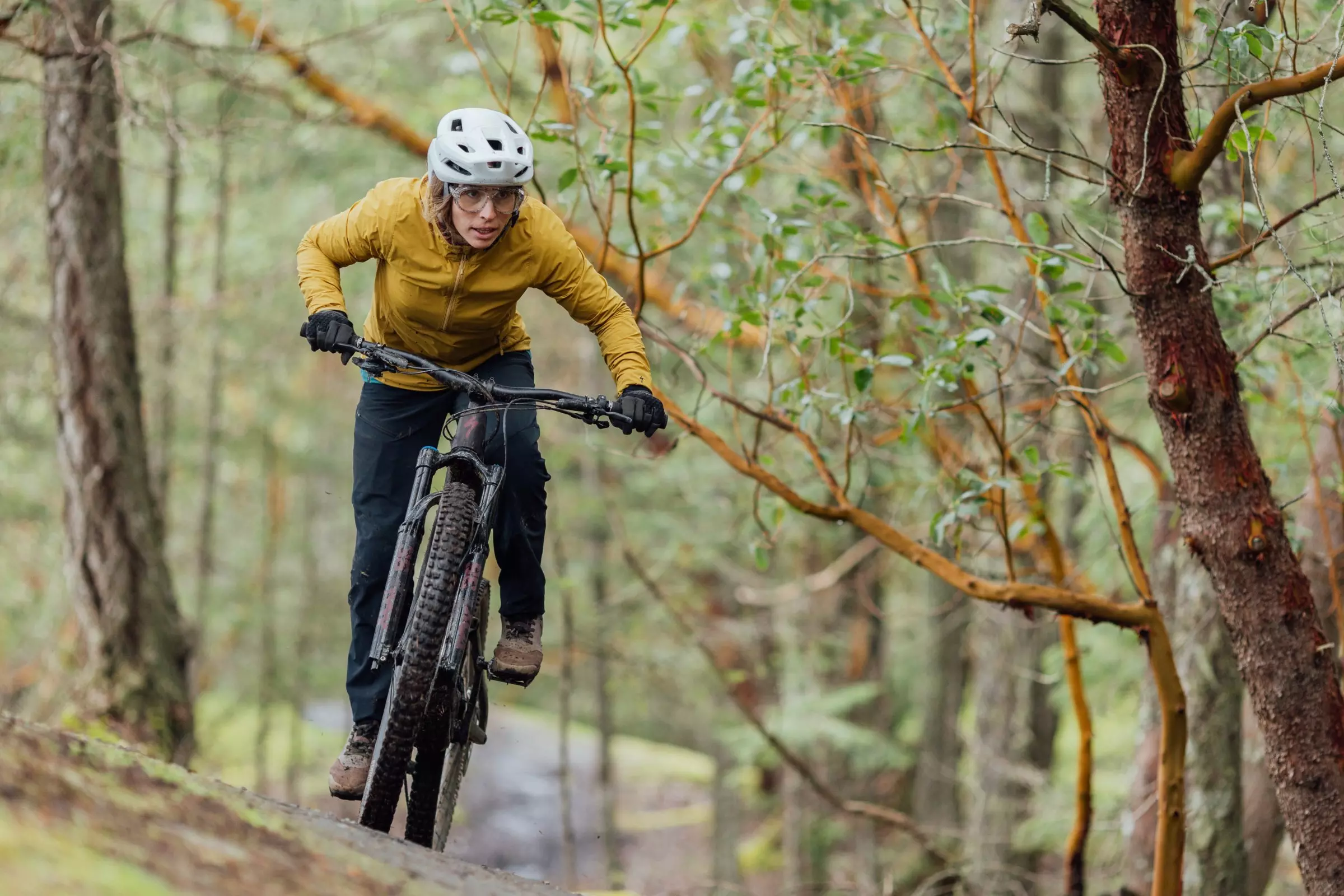 Eléctricas de MTB