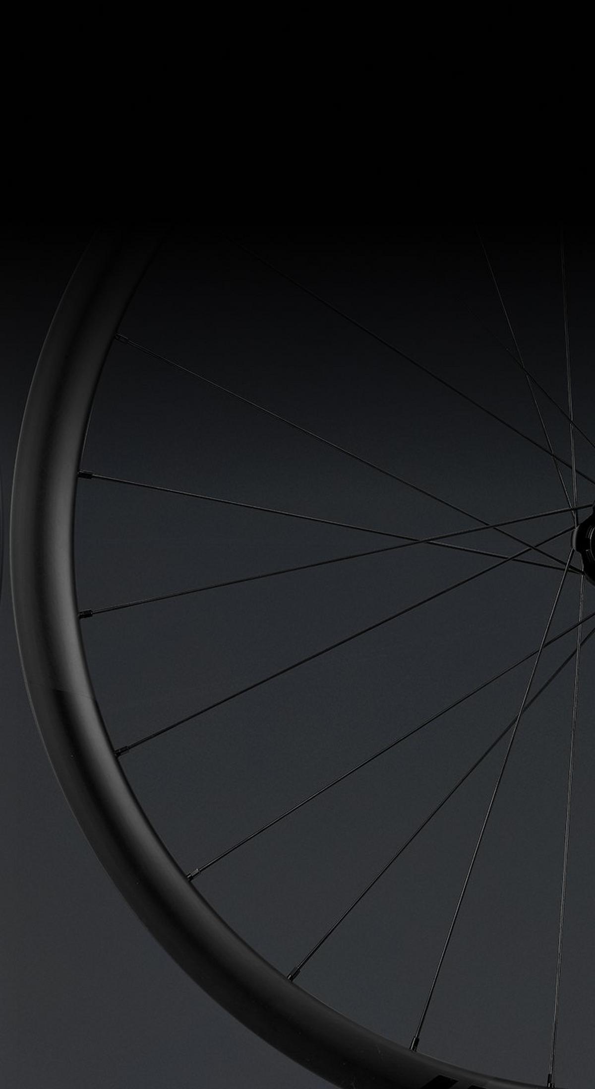 Alpinist CL II Wheels