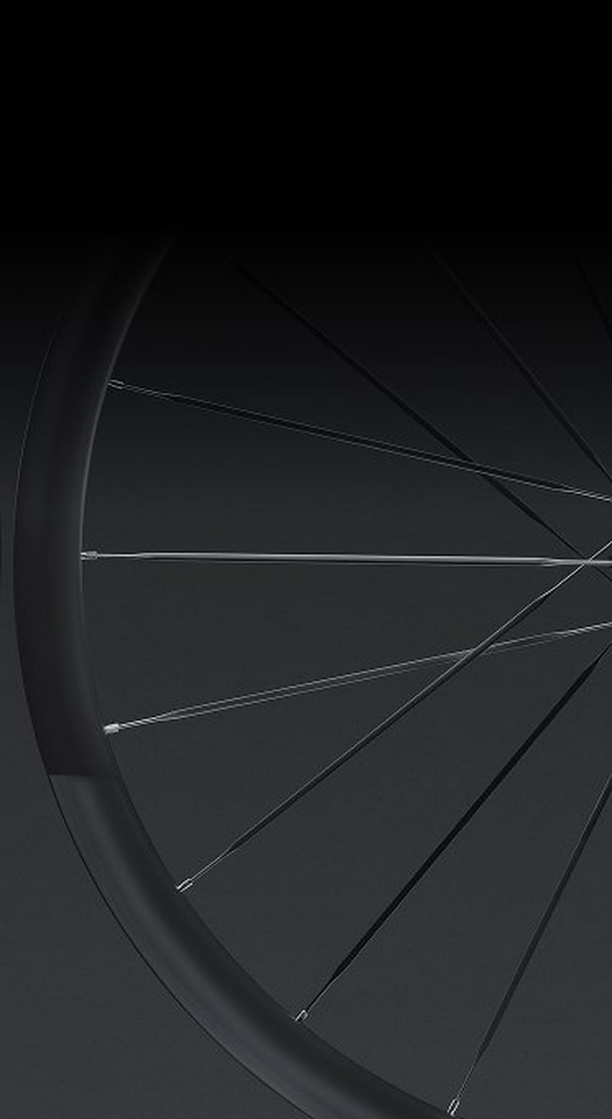 Alpinist CLX III Wheels