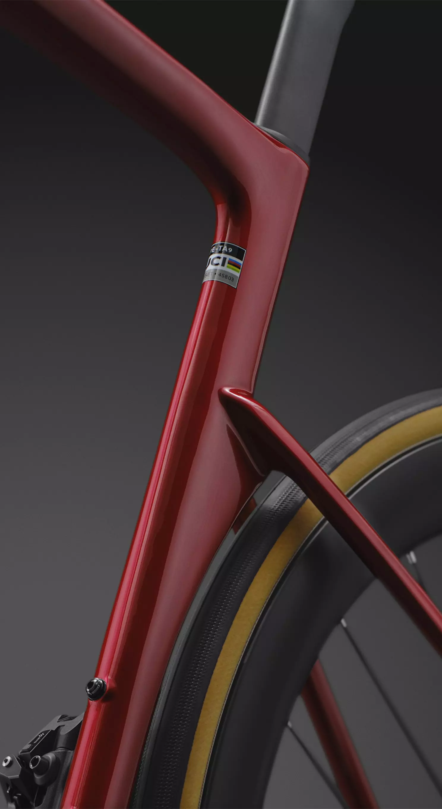 Specialized Tarmac SL9 Win Fin