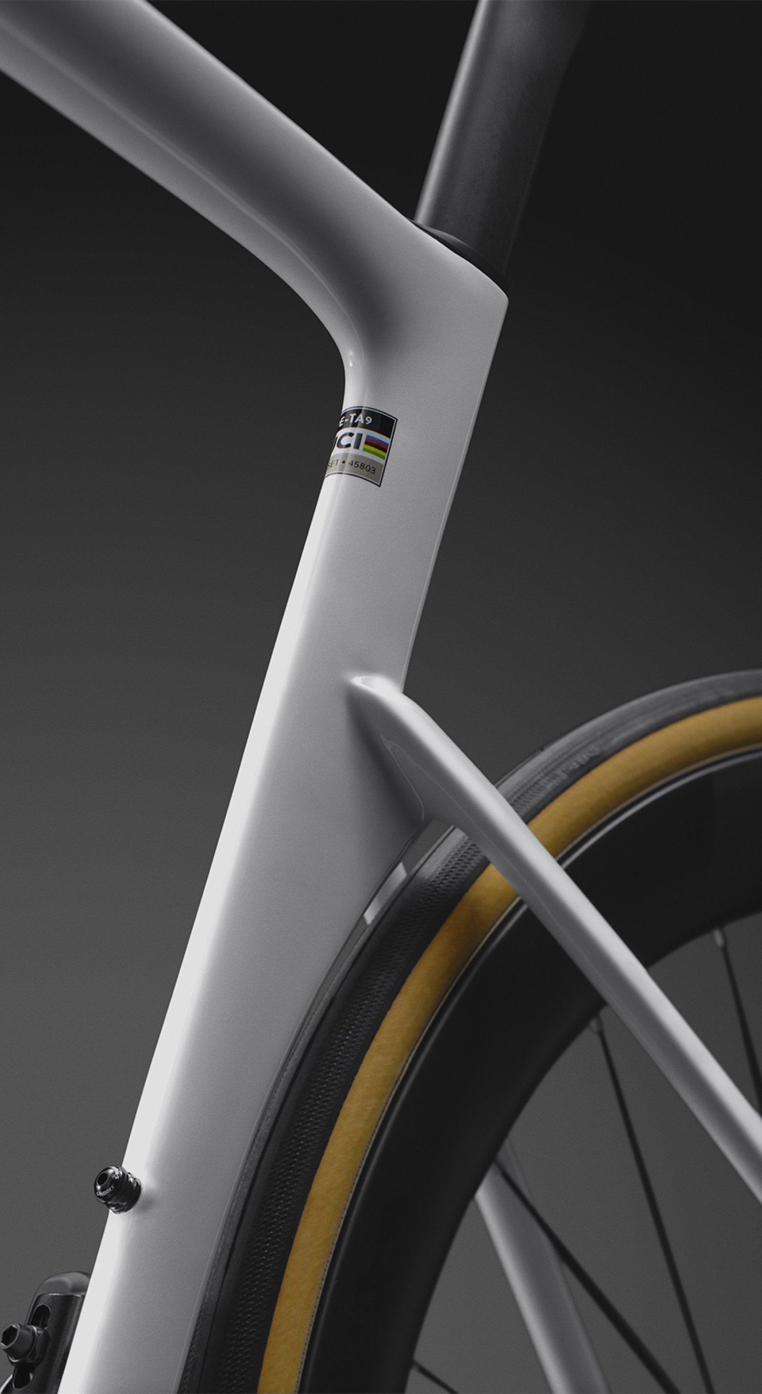 Win Fin
