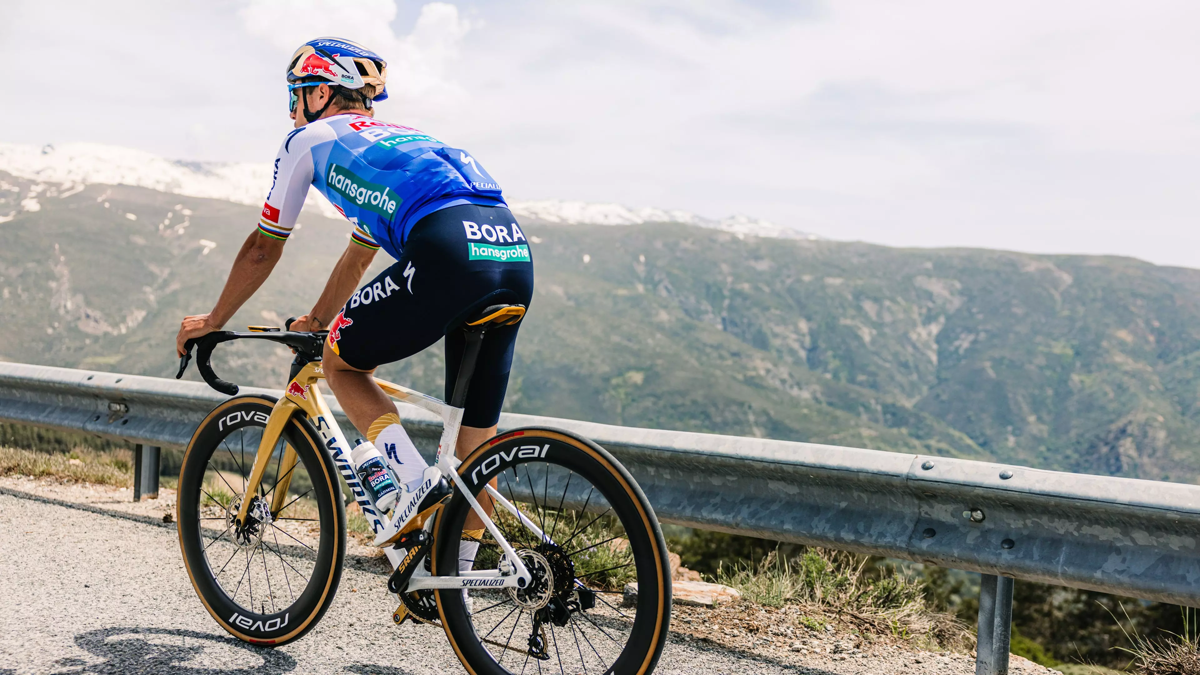 Red Bull - BORA - hansgrohe LTD Race Bib Short