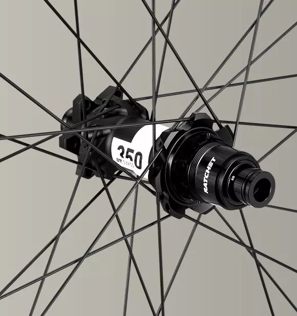 Proven DT Swiss Hubs