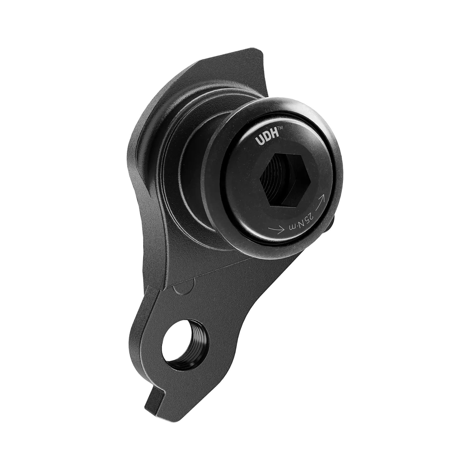 SRAM Universal Derailleur Hanger (UDH)