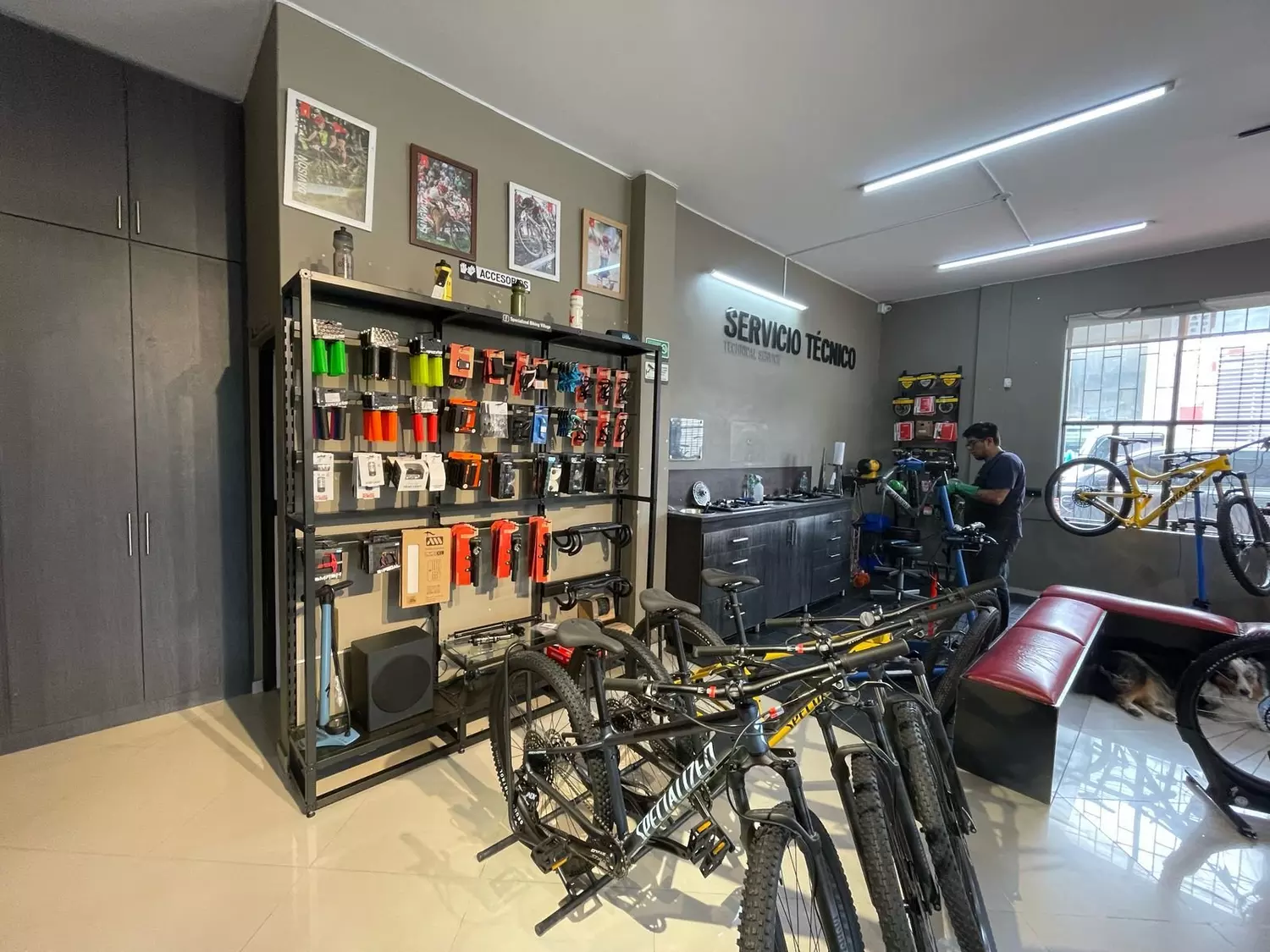 Store Image