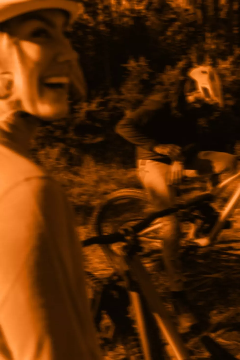 Content Card