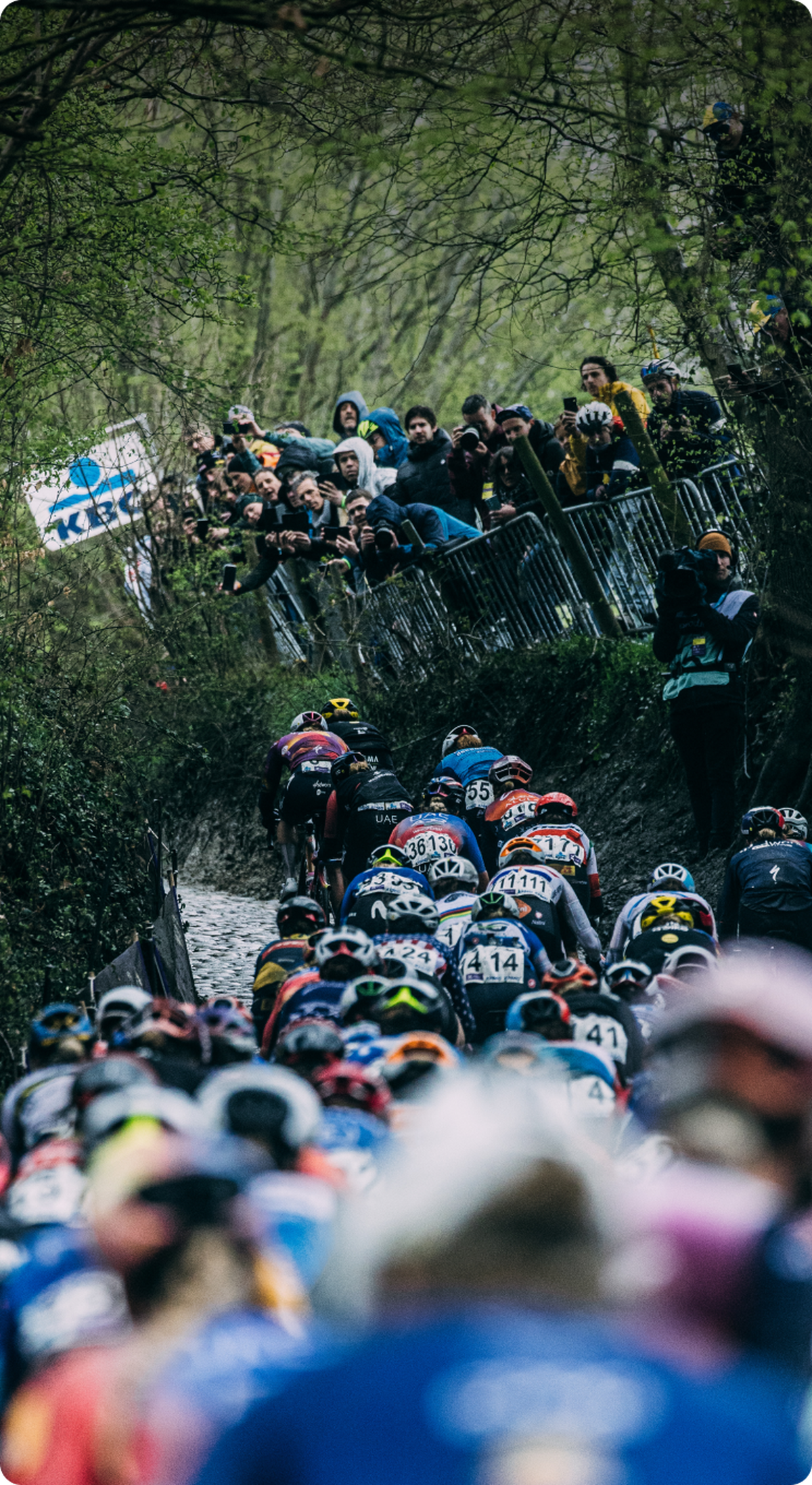 Rider First Engineered