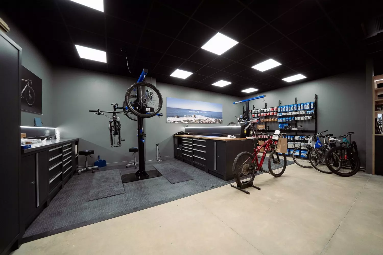 Store Image