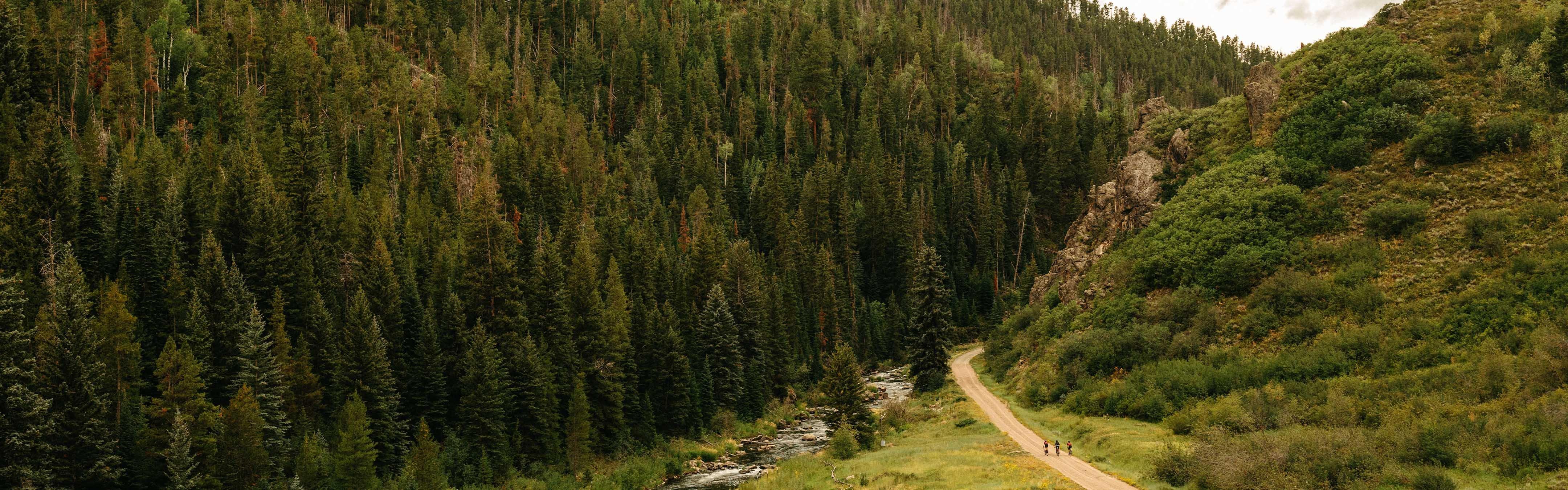 Children Electric Bicycle