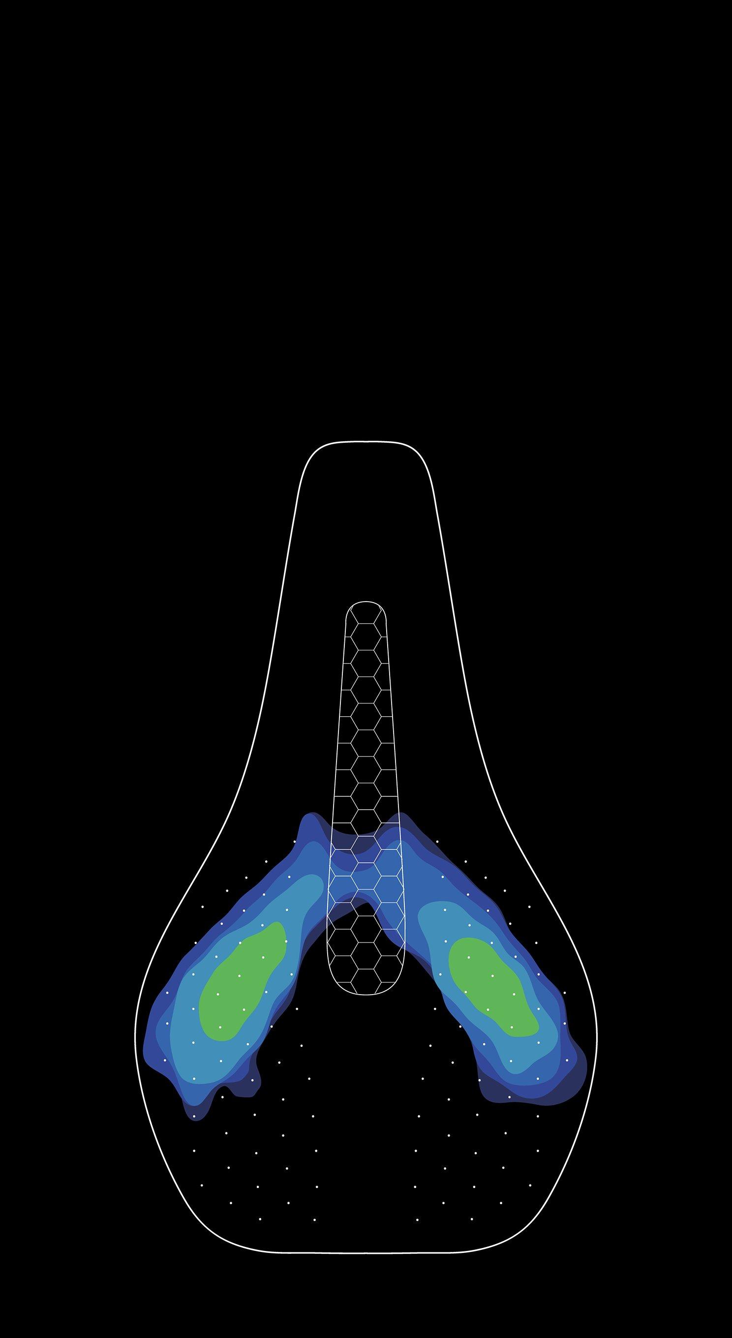 Body Geometry Shapes