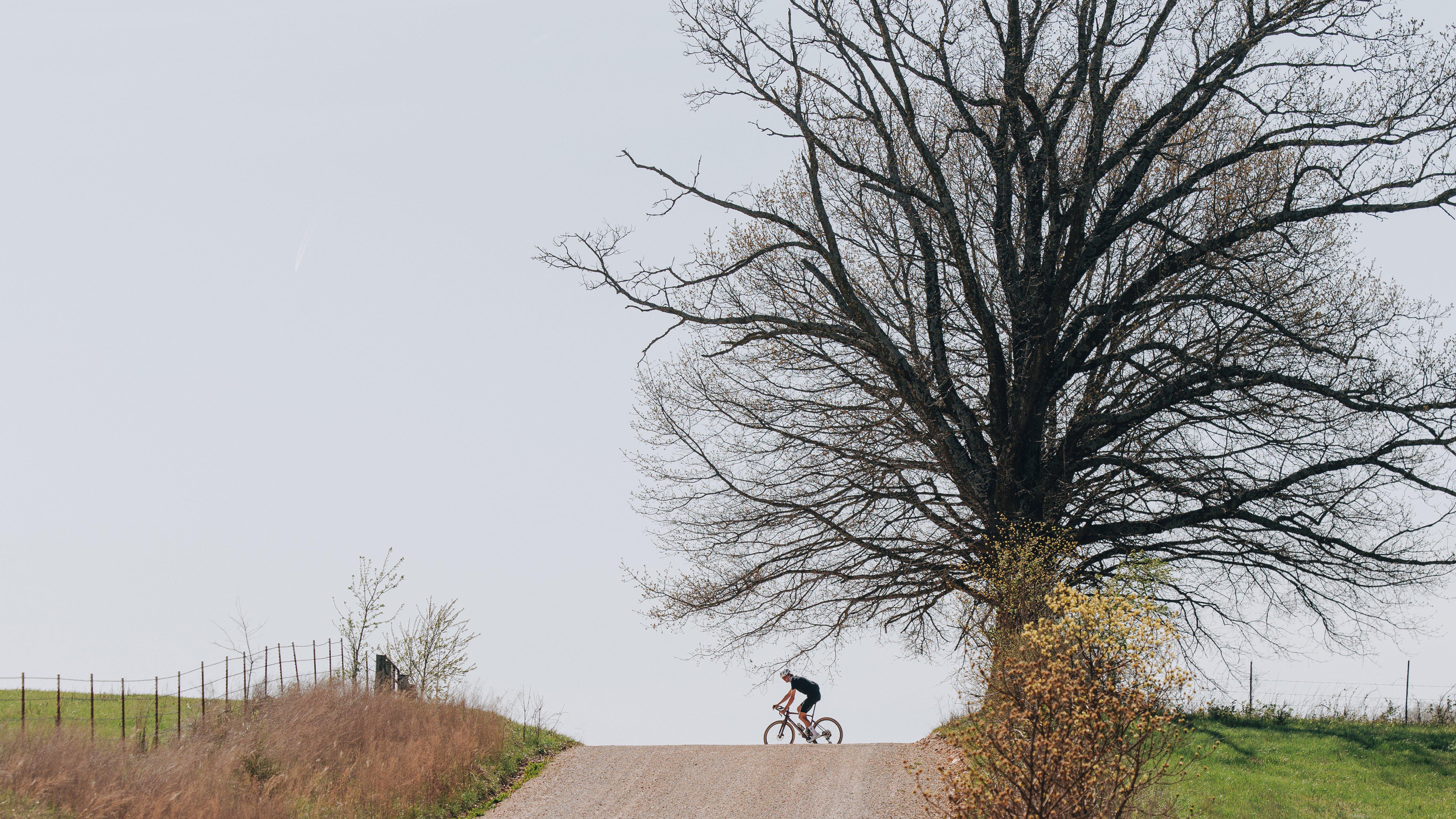 Diverge 4 Sport Carbon banner 3